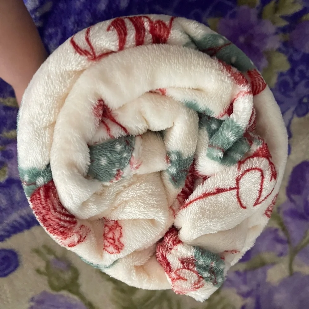 Disney Winnie the Pooh Plush Throw Blanket - White with Red & Green Accents